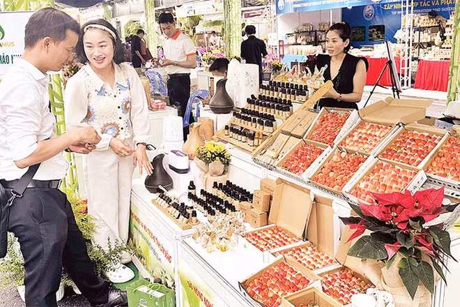 Gian hàng nông sản của doanh nghiệp nhỏ tại một hội chợ mới đây ở thành phố (Ảnh HOÀNG LIÊM)