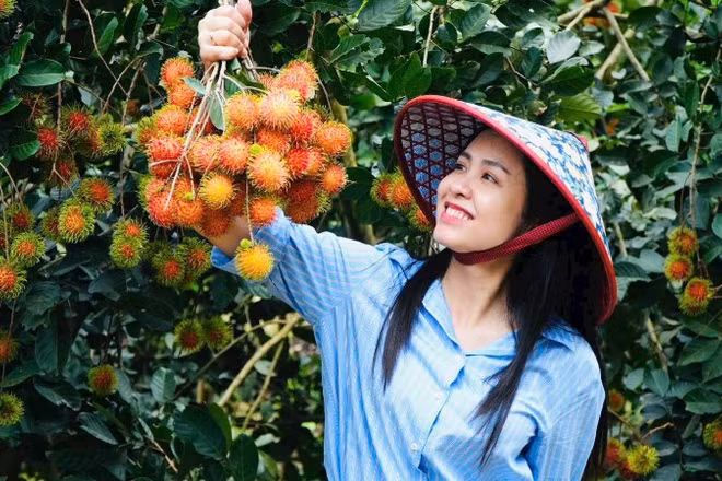 Phường Bình Lộc được xem là “thủ phủ” trái cây của thành phố Đồng Nai, với các loại chôm chôm, sầu riêng ngon nức tiếng ở khu vực phía nam.