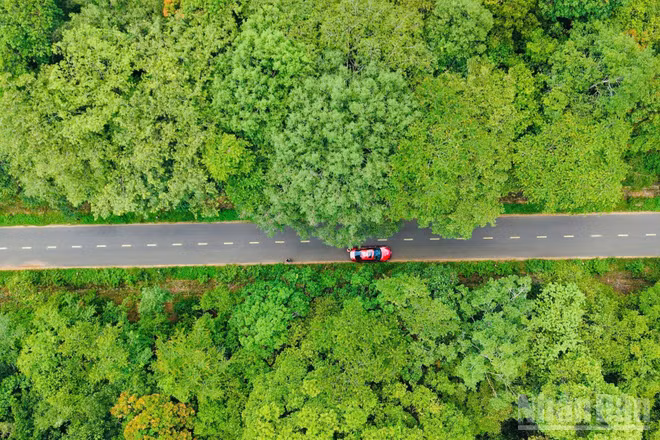 Đường 13km trên cao xuyên rừng Mã Đà thuộc Dự án đầu tư xây dựng tuyến đường từ cầu Mã Đà đến đường Vành đai 4-Thành phố Hồ Chí Minh.