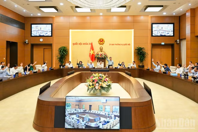 Các thành viên Ủy ban Thường vụ Quốc hội biểu quyết tại phiên họp. (Ảnh: DUY LINH)