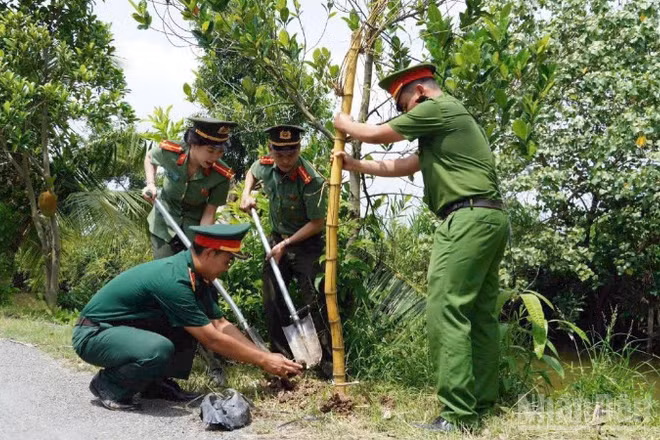 Lực lượng vũ trang trồng tre trên tuyến đường dẫn vào Đền thờ Anh hùng dân tộc Trương Định (xã Gia Thuận).