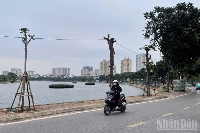 Dự báo khu vực Hà Nội trời rét đậm, có nơi rét hại.