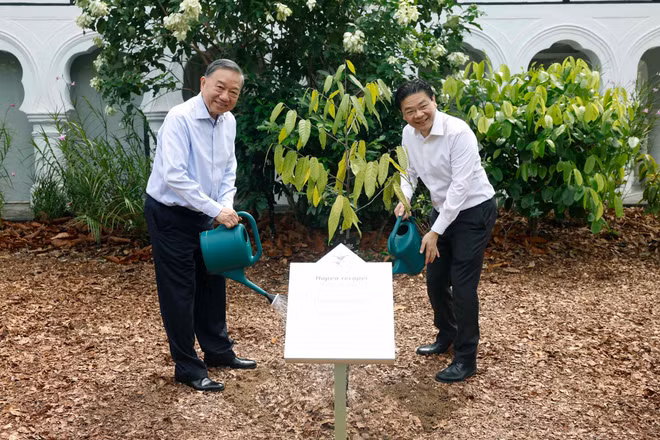 Tổng Bí thư, Chủ tịch nước Tô Lâm và Thủ tướng Singapore Lawrence Wong trồng cây lưu niệm. (Ảnh: TTXVN)