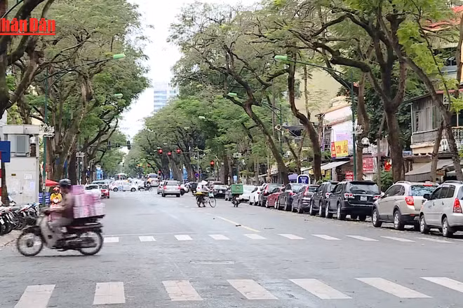 [Video] Bắc Bộ rét trong ngày đầu năm mới 