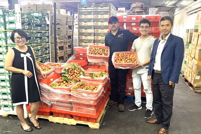 Hiện vải thiều cùng nhiều loại trái cây tươi của Việt Nam đang được phân phối tại các siêu thị và chợ châu Á lớn ở Houston (bang Texas) cũng như tại một số bang khác của Hoa Kỳ.