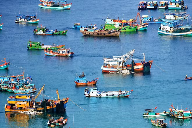 Doanh nghiệp thủy sản đồng hành cùng Chính phủ giữ vững uy tín và thị trường xuất khẩu.