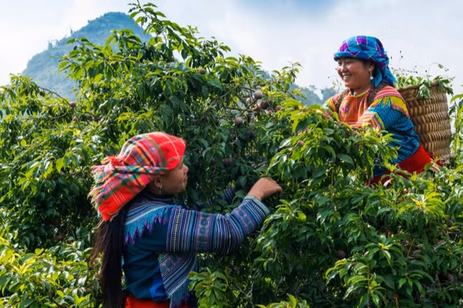 Lan tỏa câu chuyện về vùng đất và con người qua sản vật địa phương. 