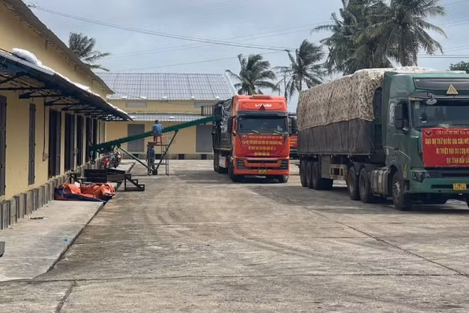 Xe vận chuyển gạo dự trữ quốc gia của Chi cục Dự trữ Nhà nước khu vực XII xuất phát hỗ trợ Nhân dân tỉnh Đắk Lắk bị thiệt hại do cơn bão số 13. (Ảnh: Cục Dự trữ) 