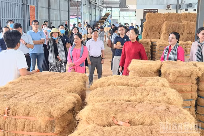 Đoàn khảo sát du lịch đường sông tham quan cơ sở sản xuất chỉ xơ dừa trên sông Thom. 