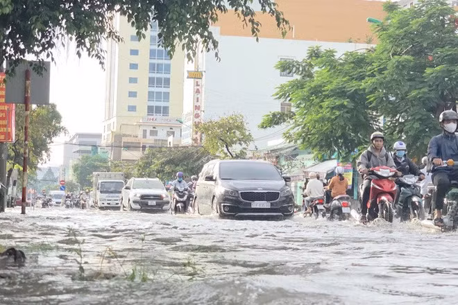 Nước ngập đường Cách mạng tháng Tám, Cần Thơ.