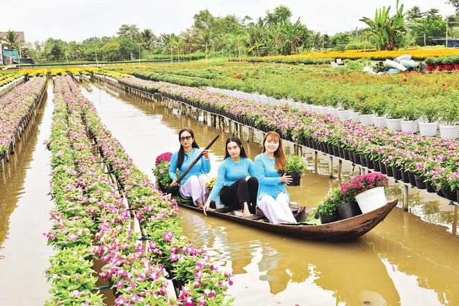 Du khách tham quan Làng hoa Sa Đéc.