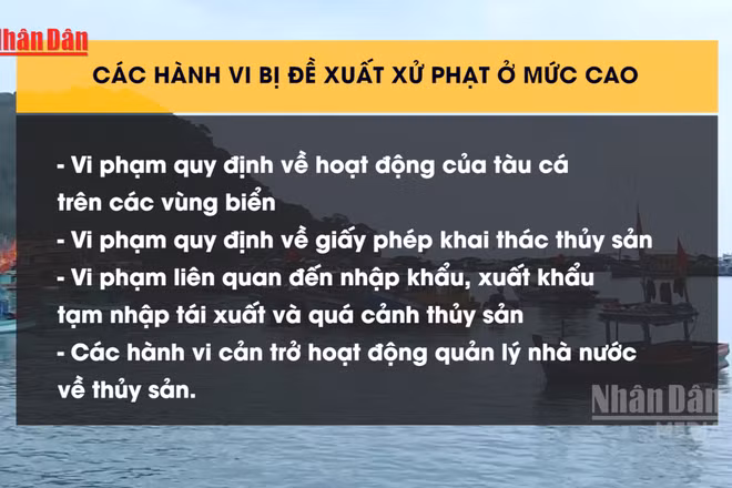 [Video] Đề xuất phạt 1 tỷ đồng với nhiều hành vi vi phạm trong lĩnh vực thủy sản