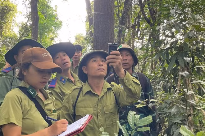 Cán bộ Ban Quản lý Khu dự trữ thiên nhiên Mường Nhé cùng lực lượng kiểm lâm, nhân dân trên địa bàn tuần tra rừng.