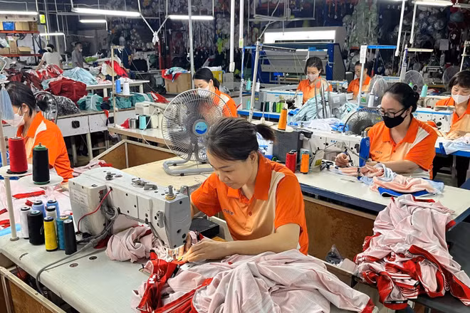 Người lao động tại cơ sở sản xuất áo thi đấu thể thao của Công ty cổ phần Tập đoàn thể thao Động Lực. (Ảnh: THU THÚY)