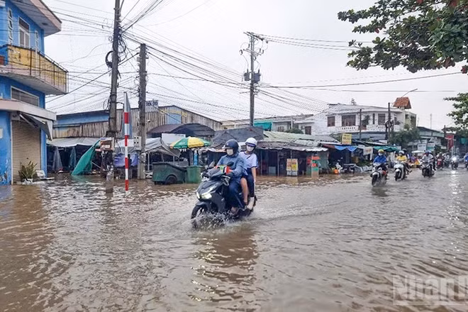Triều cường. (Ảnh minh họa: Bá Dũng)