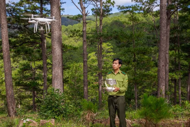 Cán bộ kiểm lâm Phạm Xuân Đảm điều khiển thiết bị flycam kiểm tra cháy rừng.