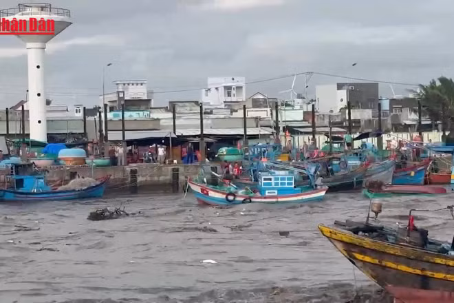 [Video] Lũ lớn trên sông Liên Hương, hàng chục phương tiện của ngư dân bị chìm và trôi ra biển