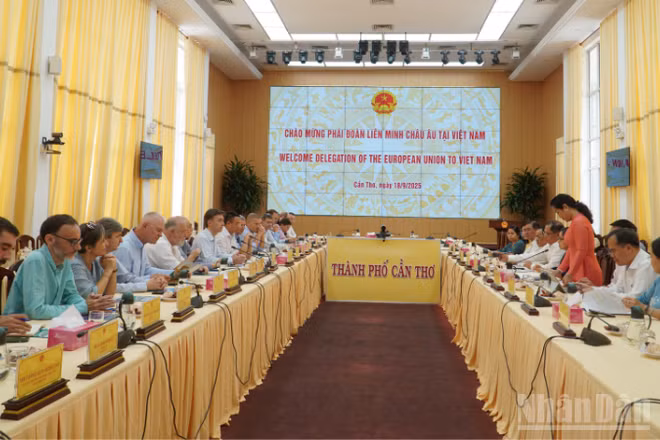 Quang cảnh buổi làm việc.
