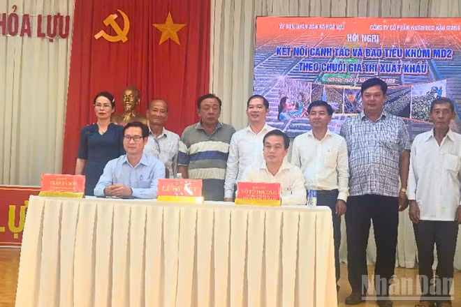 Xã Hỏa Lựu phối hợp với Công ty cổ phần Westfood Hậu Giang tổ chức hội nghị liên kết và bao tiêu khóm MD2 theo chuỗi giá trị xuất khẩu.