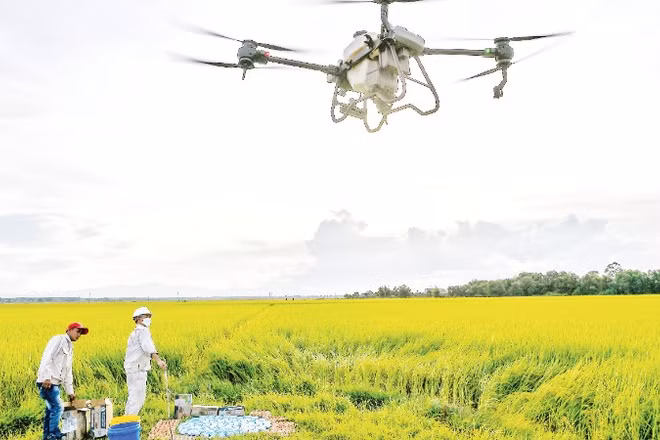 Các yếu tố mang tính quyết định cho chuyển đổi xanh, như khoa học công nghệ, chuyển đổi số, đổi mới sáng tạo… cần được đầu tư tương xứng. (Ảnh Thành Đạt) 