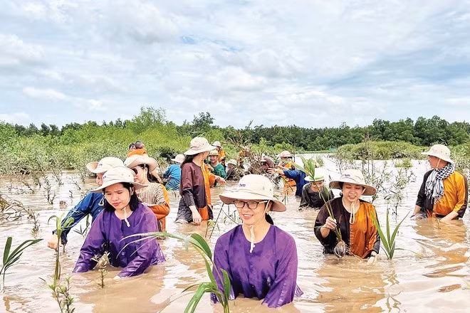 Người dân đầu tư, phát triển du lịch sinh thái bên cù lao Lá (ấp Tân Quý, xã Mỹ Chánh Hòa, tỉnh Vĩnh Long).