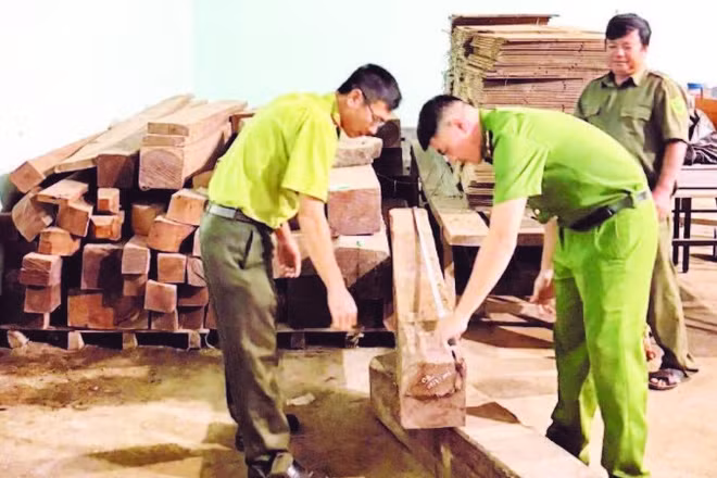 Công an xã Krông Ana phối hợp Hạt Kiểm lâm khu vực Lắk kiểm tra gỗ chưa xác định chủng loại tại nhà kho của ông T.V.T, không có hóa đơn, bản kê lâm sản hoặc giấy tờ chứng minh nguồn gốc hợp pháp.