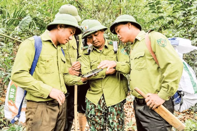 Lực lượng Kiểm lâm Vườn quốc gia Pù Mát ứng dụng công nghệ trong tuần tra, quản lý, bảo vệ rừng.