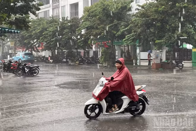 Dự báo khu vực Hà Nội có mưa rào và rải rác có dông. (Ảnh minh họa: Đ.T)