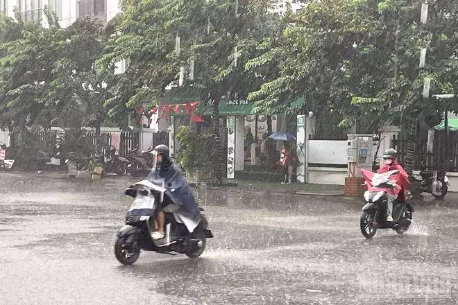 Dự báo khu vực Hà Nội có mưa vừa, mưa to và dông. (Ảnh minh họa: Đ.T)