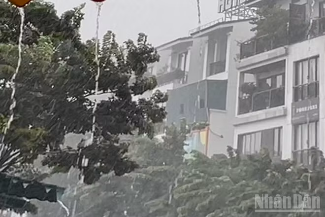 Dự báo khu vực Hà Nội có mưa rào và dông. (Ảnh minh họa: Đ.T)