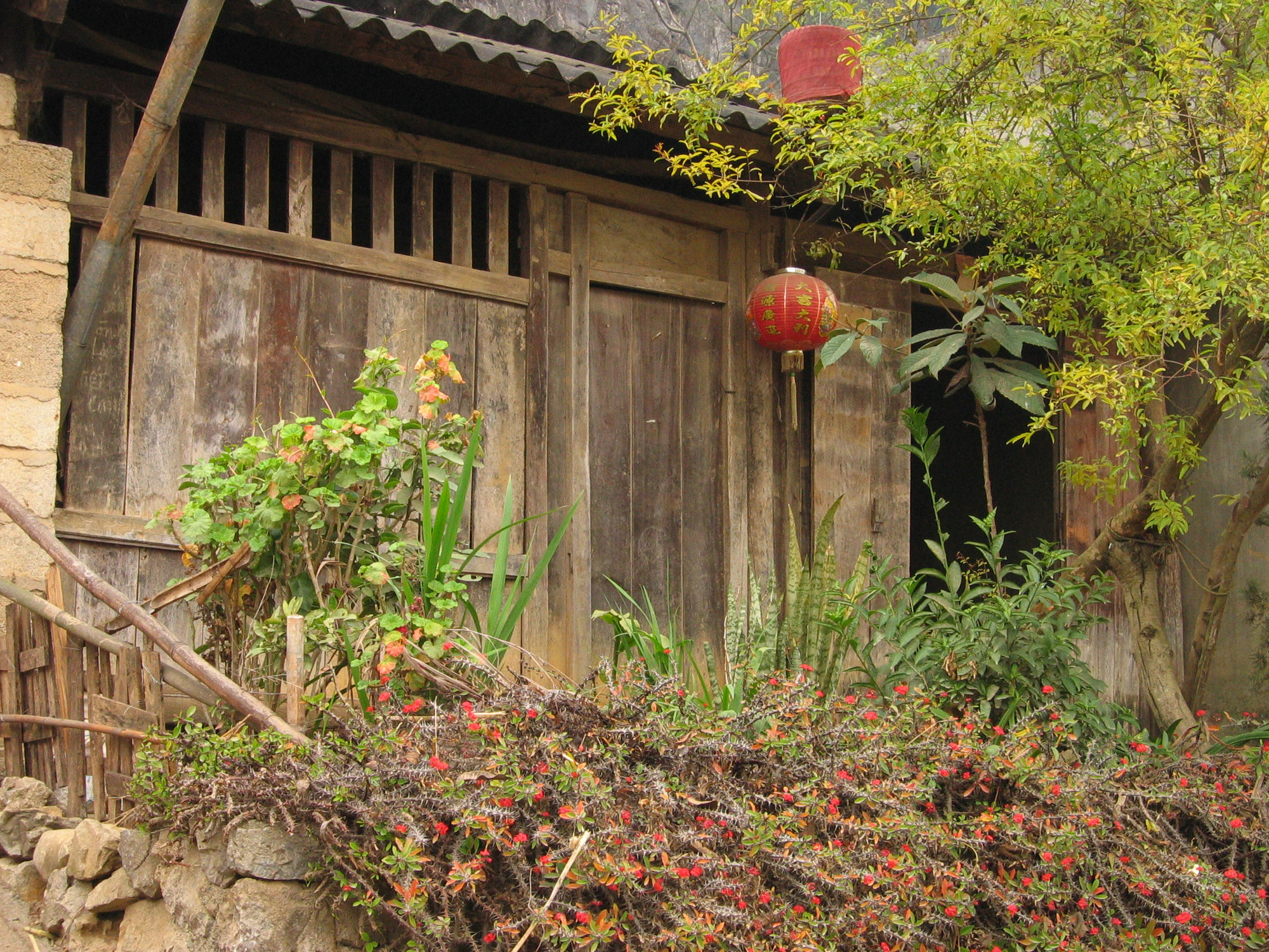 Nhà gỗ của người Hmông ở Đồng Văn, Hà Giang.