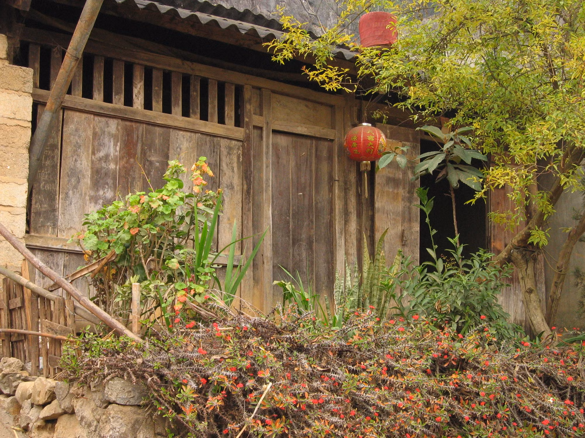 Nhà gỗ của người Hmông ở Đồng Văn, Hà Giang.