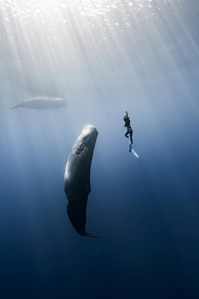 Ảnh: NGUYỄN NGỌC THIỆN tr8.jpg