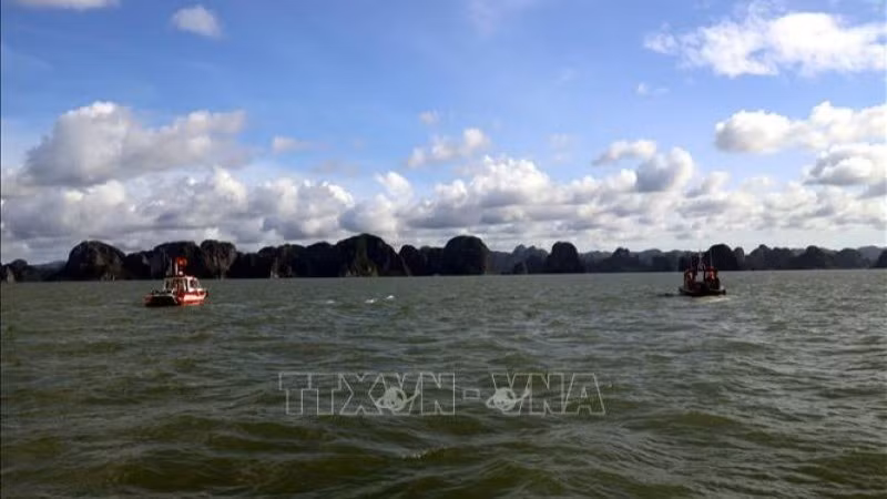 Các xuồng thuộc Phòng Cảnh sát Phòng cháy chữa cháy và Cứu nạn cứu hộ (Công an tỉnh Quảng Ninh) tham gia tìm kiếm khu vực trên vịnh Hạ Long. (Ảnh: Đức Hiếu/TTXVN)