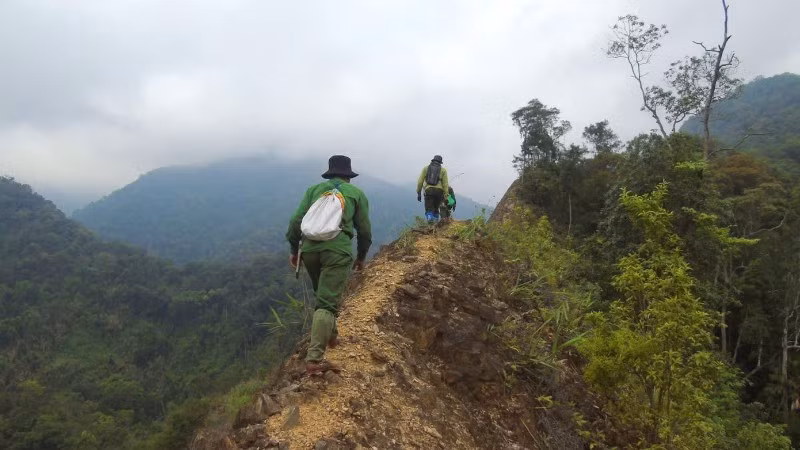 Tuần tra bảo vệ rừng ở Vườn Quốc gia Pù Mát.