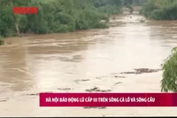 [Video] Hà Nội báo động lũ cấp III trên sông Cà Lồ và sông Cầu