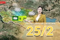 [Video] Dự báo thời tiết đêm nay và ngày mai 25/2/2026: Bắc Bộ mưa dông diện rộng, cảnh báo lốc sét và mưa đá