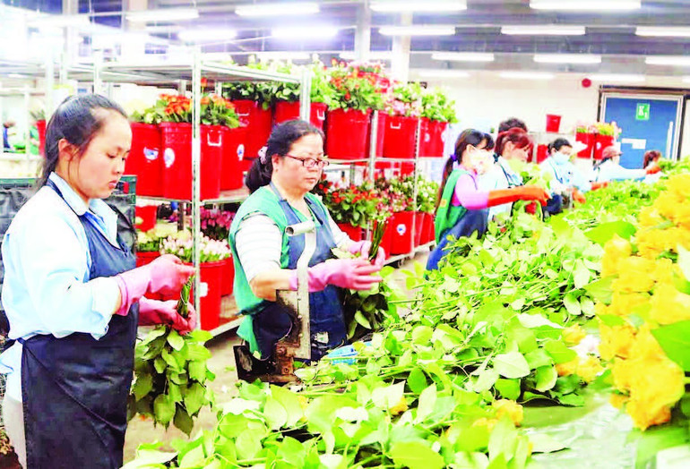 Một trong những tiểu dự án nổi bật là Trung tâm giao dịch hoa Đà Lạt. (Ảnh MAI VĂN BẢO) tay-nguyen-3-10m-20h29.jpg