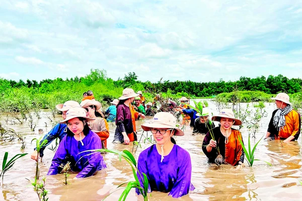 Người dân đầu tư, phát triển du lịch sinh thái bên cù lao Lá (ấp Tân Quý, xã Mỹ Chánh Hòa, tỉnh Vĩnh Long).