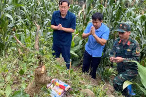Khu vực phát hiện các ụ đất có đắp đá và bia ghi phần mộ các liệt sĩ tại bản Pa Tân 1, xã Pa Tân.