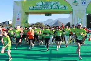 Giải lần này quy tụ hơn 1.500 vận động viên đến từ tất cả các địa phương trong cả nước và một số nước trên thế giới.