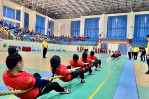 Các vận động viên tham gia thi đấu nội dung nữ 6 người trong nhà.