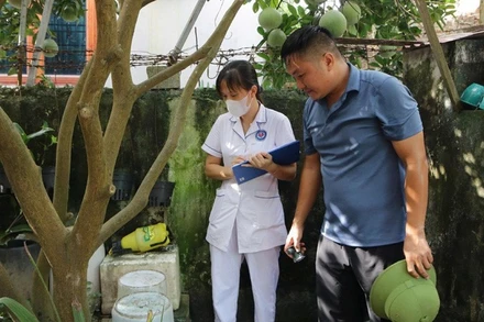 Cán bộ y tế đang giám sát chỉ số bọ gậy tại hộ gia đình trên địa bàn Hà Nội.