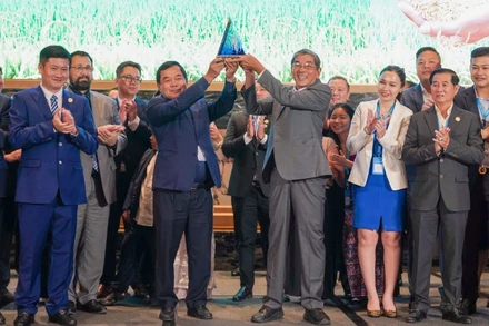 Gạo Ông Cua ST25 của Việt Nam và Gạo Phka Romdoul của Campuchia đã xuất sắc cùng giành giải Nhất Cuộc thi “Gạo ngon nhất thế giới” năm 2025.