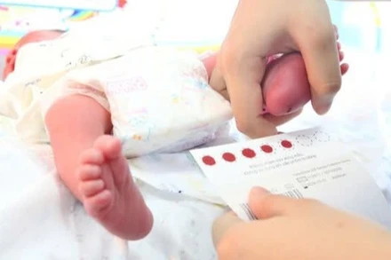 Lấy máu gót chân sàng lọc cho trẻ sơ sinh.