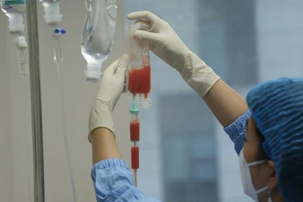 Lơ-xê-mi cấp thể tiền tủy bào là thể lơ-xê-mi cấp duy nhất có thể ghép tế bào gốc tự thân.