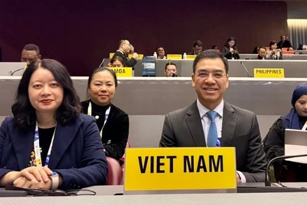 Đoàn Việt Nam tham dự COP 11 do Tiến sĩ Hà Anh Đức, Cục trưởng Cục Quản lý Khám, chữa bệnh, Giám đốc Quỹ Phòng, chống tác hại của thuốc lá làm Trưởng đoàn.