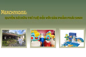 Merchandise: Quyền sở hữu trí tuệ đối với sản phẩm phái sinh