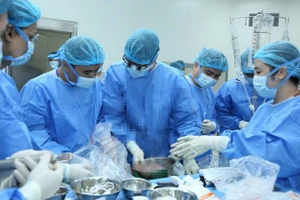 Ê-kíp tiến hành lấy gan người hiến tại Bệnh viện E. 