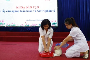 Nhân viên y tế tham gia khóa đào tạo cấp cứu ngừng tuần hoàn và xử trí phản vệ. 
